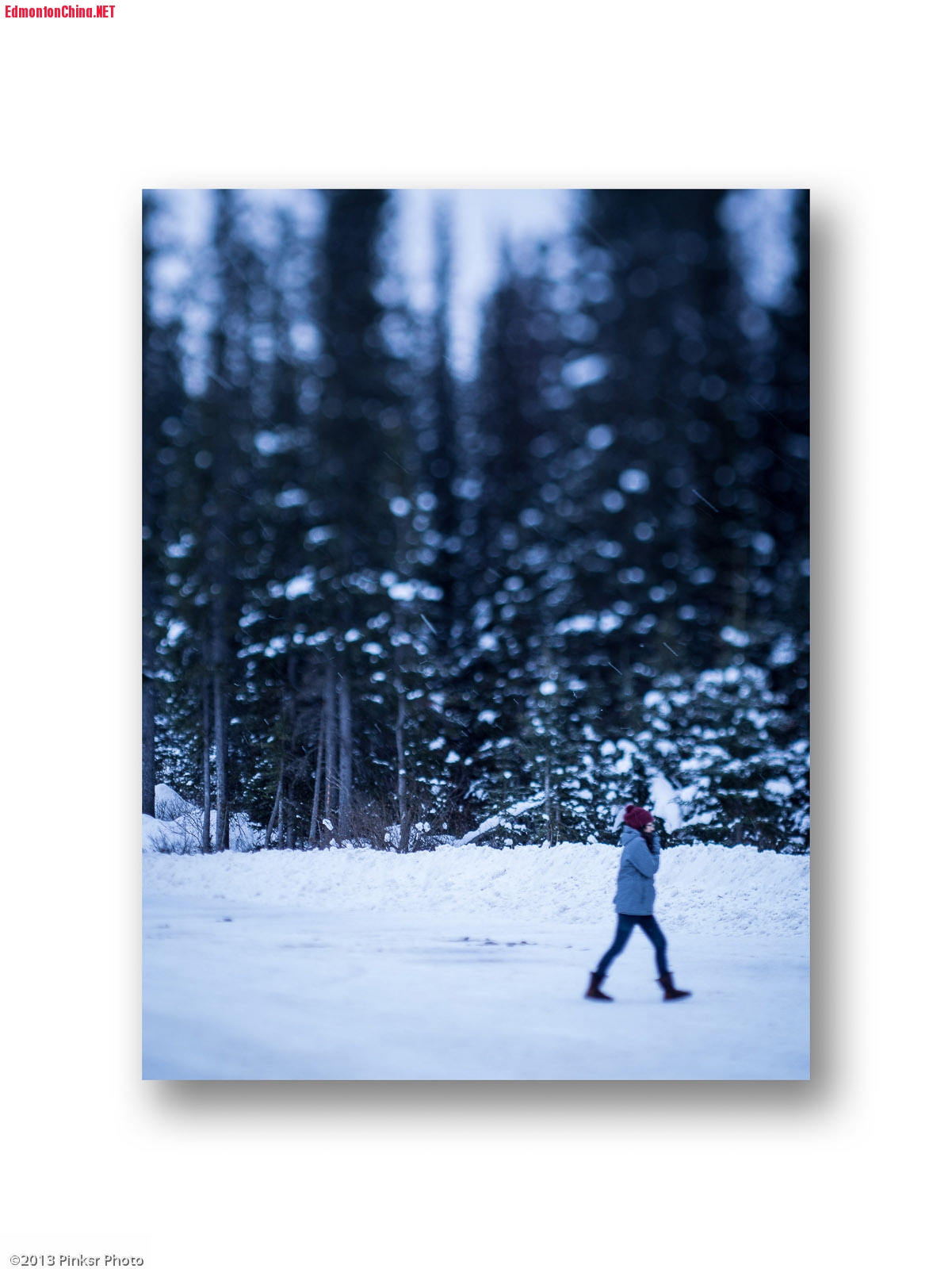 Banff in Winter-11.jpg