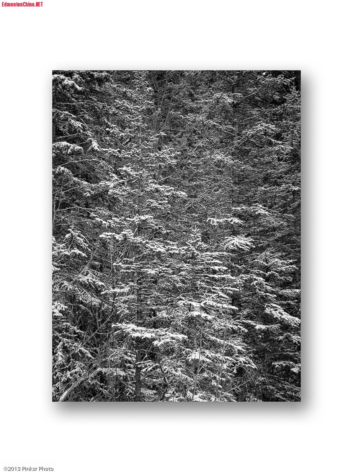 Banff in Winter-17.jpg