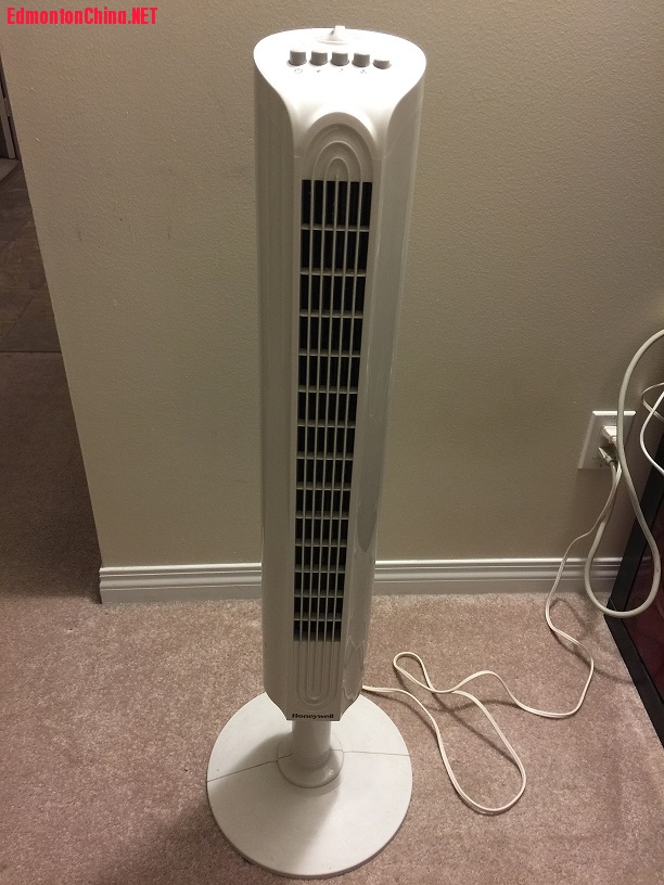 white fan.jpg