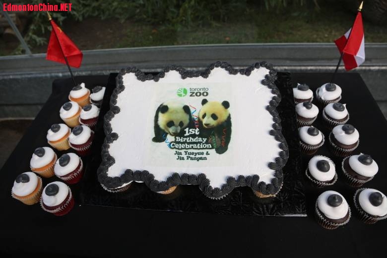 panda-birthday-cake.JPG